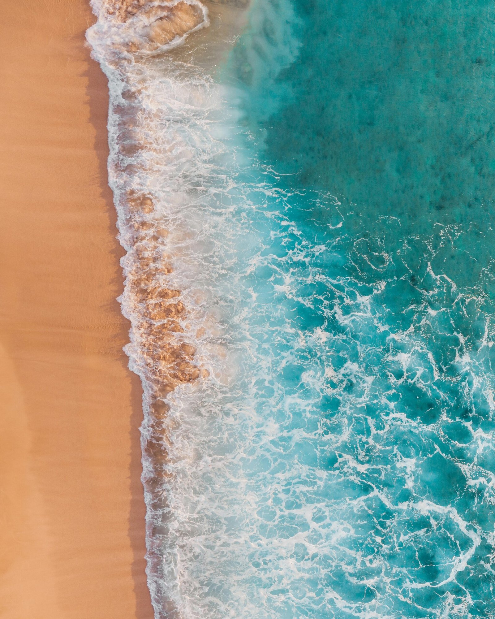 pexels jess vide 4783721