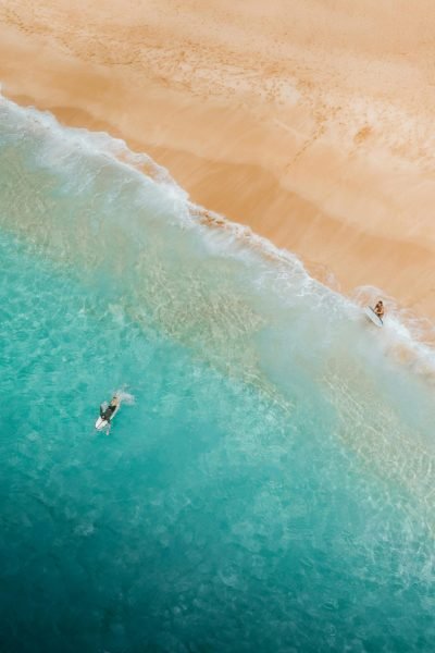 pexels jess vide 4601355